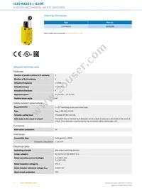 I110-RA223 Datasheet Page 2