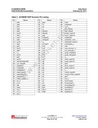 IA188EM-PQF100I-R-03 Datasheet Page 20