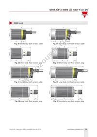 ICB12S30F04NAM1 Datasheet Page 15