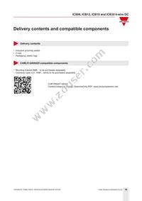 ICB12S30F04NAM1 Datasheet Page 18