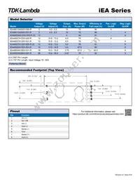 IEA48020A033V001R Datasheet Page 2