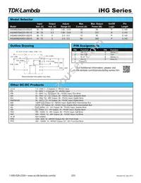 IHG48070A033V001R Datasheet Page 2