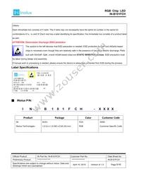 IN-B101FCH Datasheet Page 5