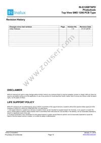 IN-S126BTNPD Datasheet Page 10