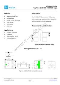 IN-S66DAT5Y5B Datasheet Cover