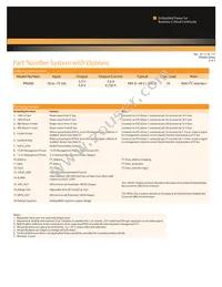 IPM300 Datasheet Page 2