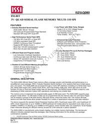 IS25LQ080-JNLE-TR Datasheet Page 2