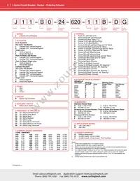 J61-B0-24-620-K3C-D3 Datasheet Page 3