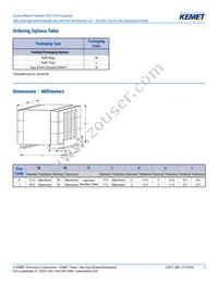 JSNEJ5350KB6L0 Datasheet Page 2