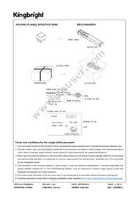 KB-C100SURKW Datasheet Page 4