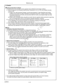 KC355WD72E225MH01K Datasheet Page 2