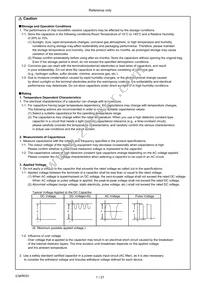 KC355WD7LP225MV01K Datasheet Page 2