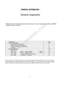 KJN222MS51FAAAA Datasheet Page 3