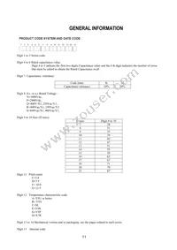 KJN222MS51FAAAA Datasheet Page 13