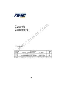 KJN222MS51FAAAA Datasheet Page 16