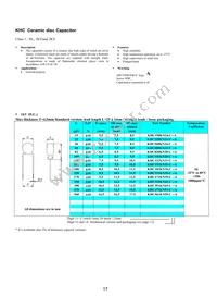 KJN222MS51FAAAA Datasheet Page 19