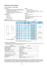 KJN222MS51FAAAA Datasheet Page 21