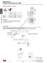 KSC421V30ACT3.17 Datasheet Page 14