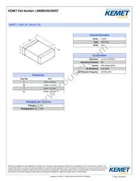 L0806B1R8JSWST Datasheet Cover