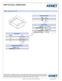 L0806B220JSWST Datasheet Cover