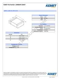 L0806B4R7JSWST Datasheet Cover