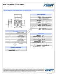 L1GN30G204KA10 Datasheet Cover