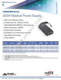 L6R250DM-480-C14 Datasheet Cover