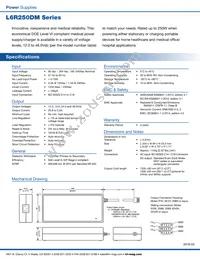 L6R250DM-480-C14 Datasheet Page 2