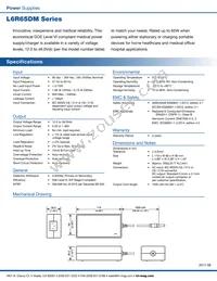 L6R65DM-120-C8 Datasheet Page 2