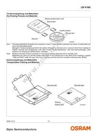 LB V19G-P2R1-35-1 Datasheet Page 13