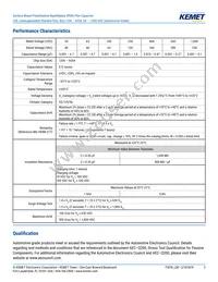 LDEEA2150JA0N00 Datasheet Page 3