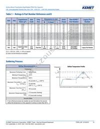 LDEEA2150JA0N00 Datasheet Page 14