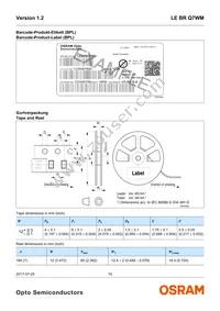 LE BR Q7WM-SITI-45+JXJZ-23-350-R18-Z Datasheet Page 15