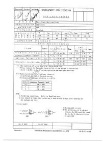 LNJ010X6FRA Datasheet Page 4