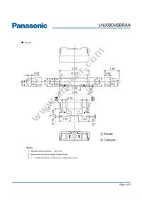 LNJ080V6BRAA Datasheet Page 3