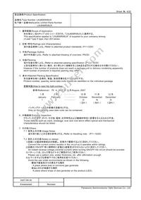 LNJ806R58UX Datasheet Page 4