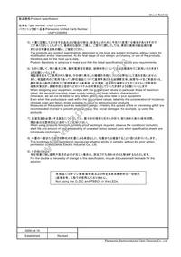 LNJP12X8ARA Datasheet Page 21