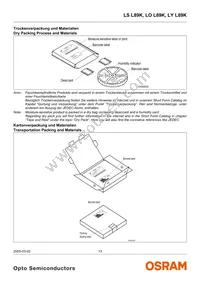 LO L89K-J2L1-24 Datasheet Page 13