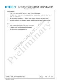 LOPL-E001G Datasheet Page 12