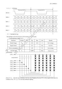 LQ101K1LY04 Datasheet Page 13