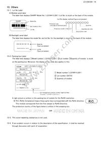 LQ104V1LG81 Datasheet Page 19