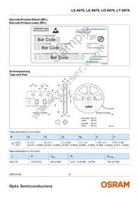 LS A676-P2R1-1 Datasheet Page 12