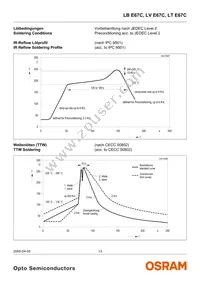 LT E67C-T2V1-35 Datasheet Page 13