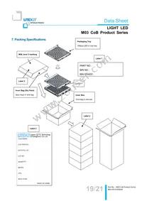 LTPL-M03622ZS57-S1 Datasheet Page 19