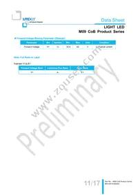 LTPL-M09830QS30-T0 Datasheet Page 11