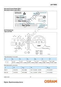 LW Y8SG-U1V1-3K6L-1-Z Datasheet Page 14