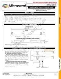LXMG1620-01 Datasheet Page 3