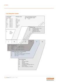 LY R976-PS-36 Datasheet Page 16