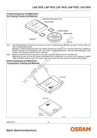 LYG T670-JL-1-0+JL-1-0-10-R18-Z Datasheet Page 13