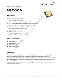 LZC-00GW00-0028 Datasheet Cover